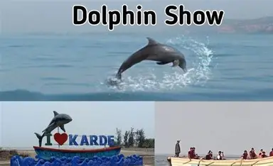 Dolphin Watch Boat Ride
