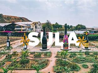 Sula Vineyard Tour