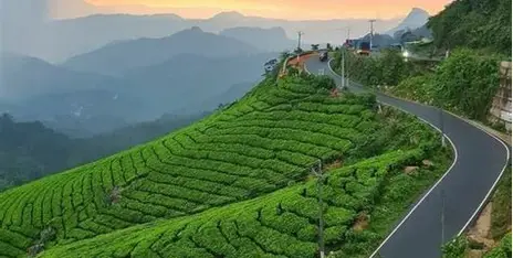 One Day Kochi To Munnar Tour Package