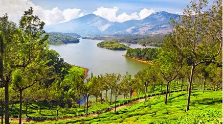 Munnar tour Package from kochi