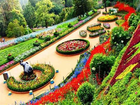 Ooty Tour package